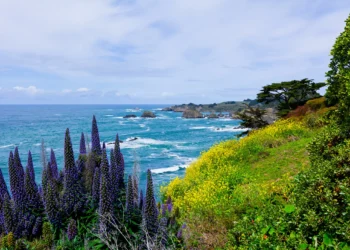 Letters: California is a national model. There’s no going back.