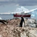 Antarctic emperor penguins hit hard by global warming: Study