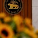 RBI policy bonanza lifts short tenor debt, long-end muted