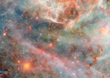 Hubble Unveils Galactic ‘Cotton Candy’ in the Large Magellanic Cloud