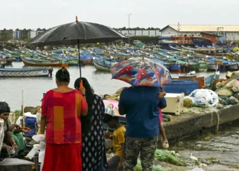 India receives 11% surplus monsoon rain in first fortnight of July