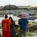 India receives 11% surplus monsoon rain in first fortnight of July