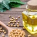 Soyabean oil has outperformed gold, silver and copper so far this year