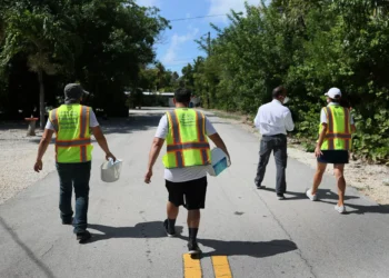 As mosquito season peaks, officials brace for new normal of dengue cases