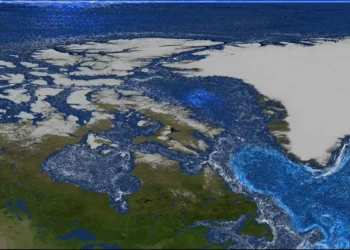 Greenland’s Melting Glaciers Feed Ocean Life, Study Finds