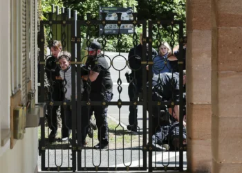 German zoo sparks outrage over feeding baboons to lions, tigers