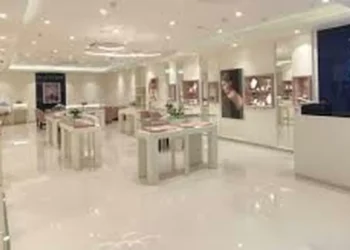 BlueStone trims IPO size, opens for subscription August 11