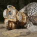 Wooden trolls made from trash urge humans to protect planet