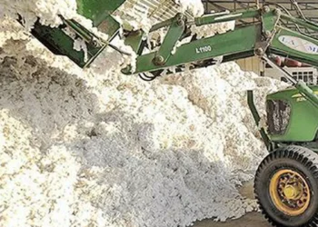 India’s Technology Mission on Cotton yet to kickstart, even as sowing gets over