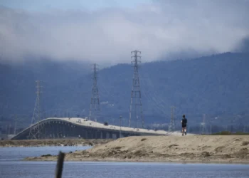 Letters: Bay’s health is critical to the region’s health