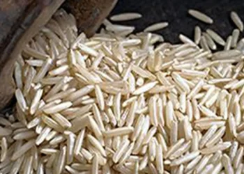 India’s basmati growers object to hike in export registration fees