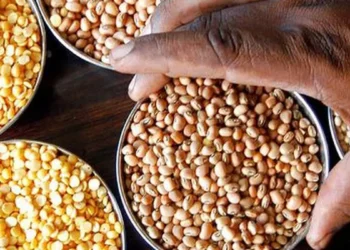 As oilseeds, pulses procurement is yet to start, over 9 lakh tonnes sold below MSP