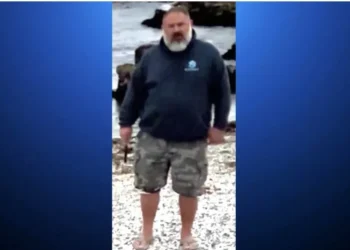 $20,000 reward offered for information about man seen decapitating sea lion near Monterey