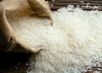 Rice procurement tops 48 lakh tonnes on early harvest in Punjab, Haryana