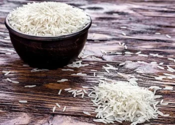 Global rice conference kickstarts in New Delhi