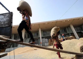 India’s Food Ministry favours lifting ban on wheat products export, moots 1 mt cap