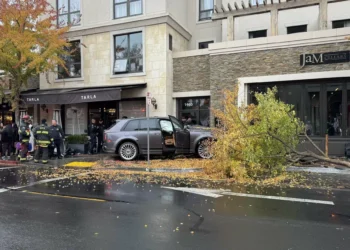 Driver blames his Rolls-Royce for Napa crash that severely injured two women