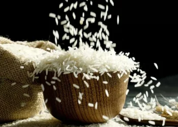 Apeda  resumes rice export registration to the Philippines, Senegal after import curbs lifted