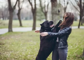 Dog behaviour expert shares strategy to stop your pet from jumping at people
