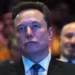 Musk says SAVE Act requiring ID to vote ‘must be done or democracy is dead’