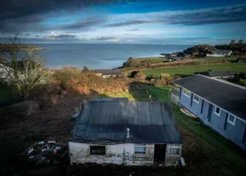 Rundown property is being engulfed by plants – but has an amazing sea view