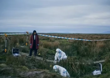 It looks like an American swamp in Under Salt Marsh and you’d never know it was in Wales